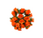 Букет роз (2 см), цвет оранжевый, 10 шт. 016294 фото