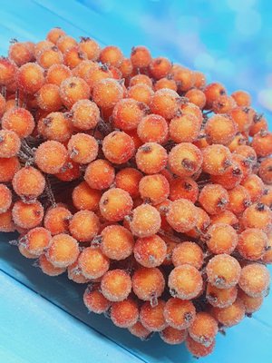 Калина в сахаре 12 мм, цвет оранжевый, шт. 012400 фото