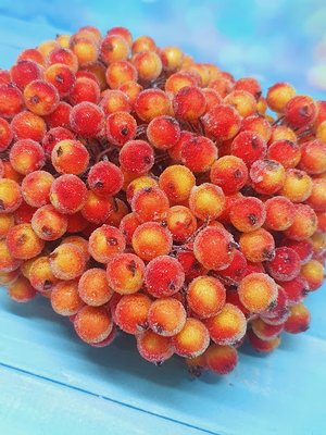 Калина (ягода) в цукрі 12 мм, колір -червоно-жовтий, 1 пучок (38-40 ягід) 016127 фото