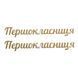 ТермоНаклейка Зеркальная- "Первоклассница" (арт 020804), размер одной наклейки 1*6,5 см, 1 пара 020804 фото 1
