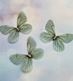 Метелик (шифон, двошарові зі стразами), колір-шавлія розмір 48*36 мм, шт 010867 фото