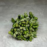 Тычинка для рукоделия (добавка для цветов), цвет- оливковый, букет (12 веточек) 017961 фото