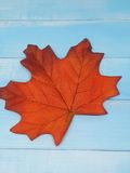 Кленовый лист, 12,5*16 см, оранжево-красный, шт 012424 фото