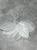 Листочки на дроті, розмір 5*3,7 см, колір-білий, уп 10 шт 014910 фото